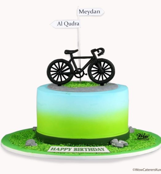 Mountain Bike Cake