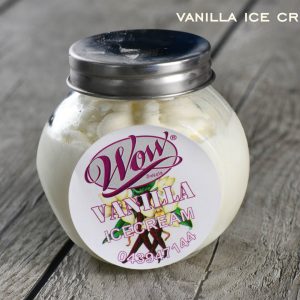 Vanilla Ice Cream