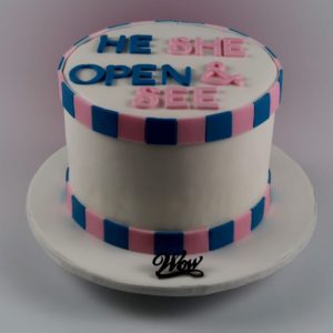 He or She Cake