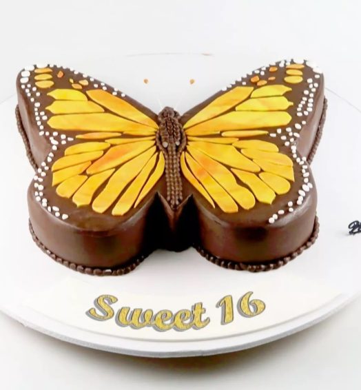 Butterfly Cake