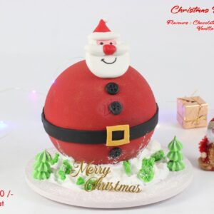 Christmas Special Santa Cake