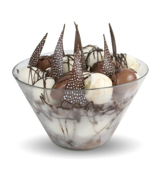 Vanilla Chocolate Ice Cream Bowl