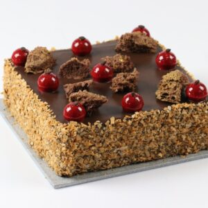 Chocolate Ice Cream Cake