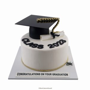 Class 2023 Cake